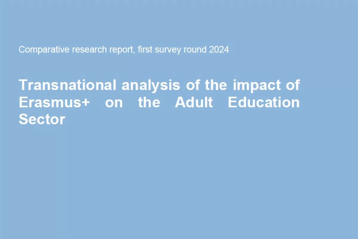 Impact on the Adult Education Sector